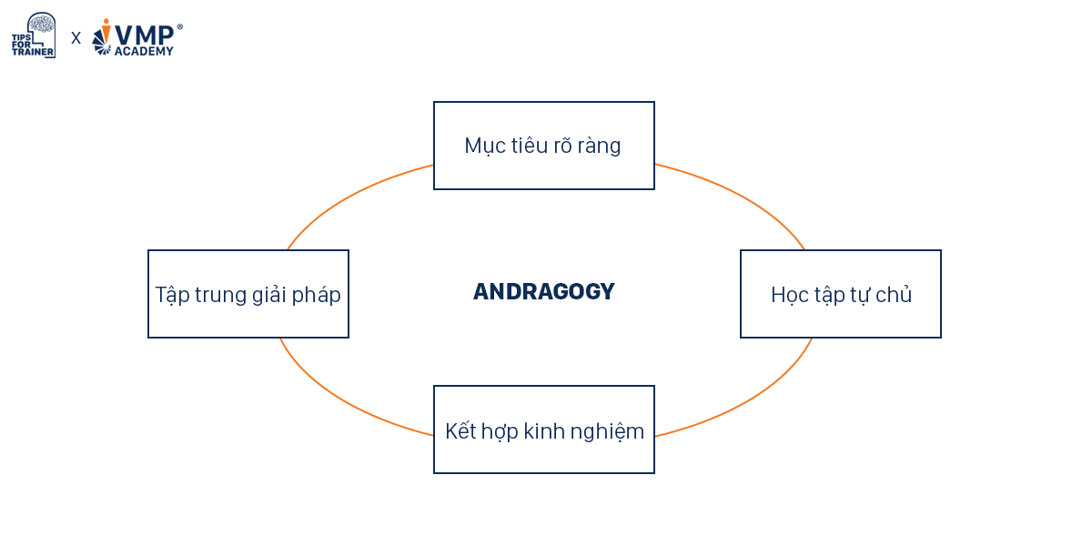 Lý thuyết học tập dành cho người trưởng thành.