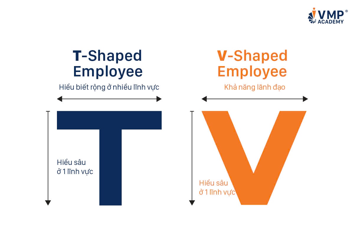 Lộ trình phát triển theo T-shape employee và V-shape employee.