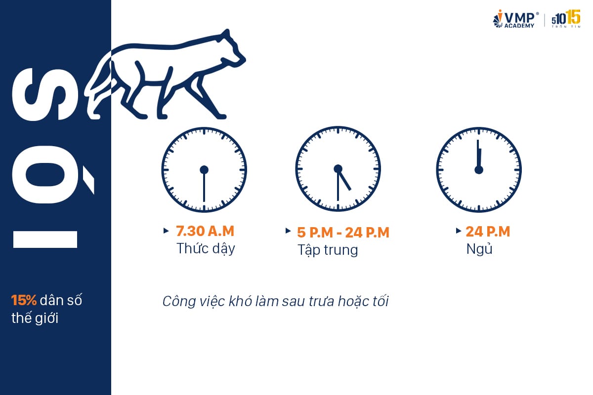 Làm việc theo kiểu sói - 4 kiểu đồng hồ sinh học