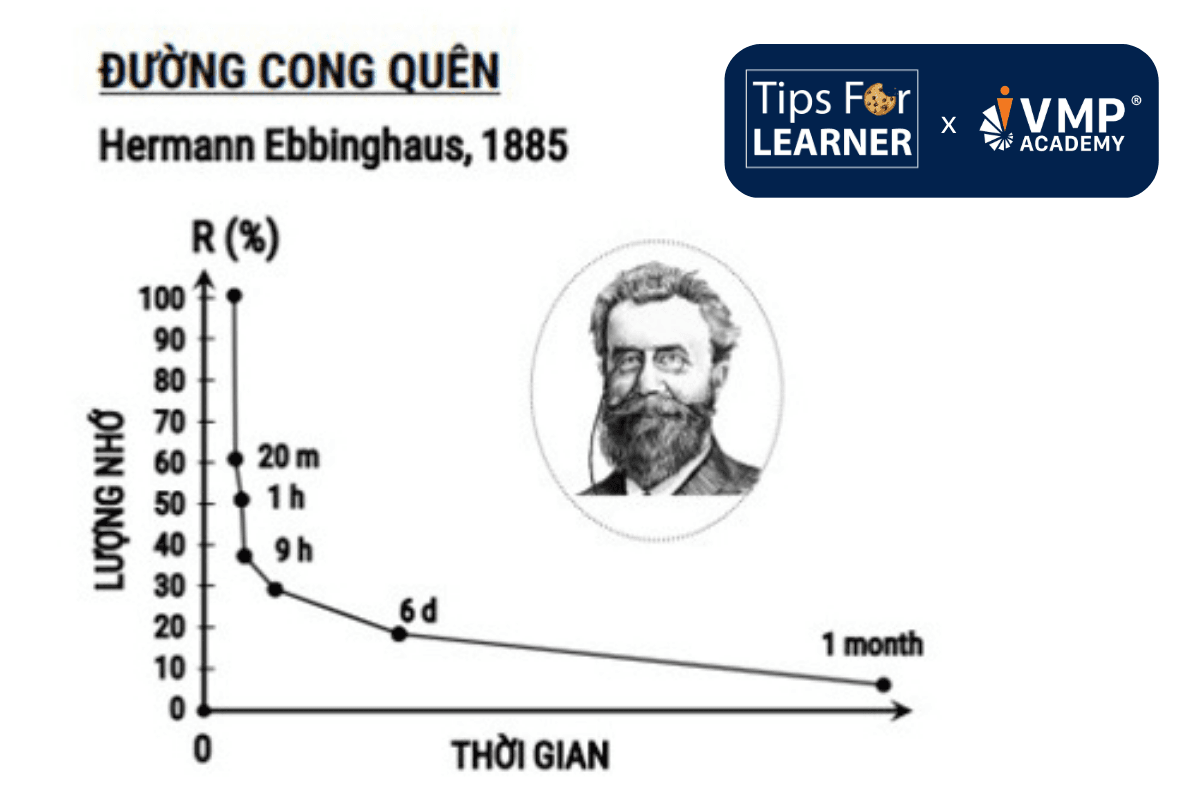 Đường cong Ebbinghaus được đặt theo nhà tâm lý học cùng tên. Đường cong Ebbinghaus được đặt theo nhà tâm lý học cùng tên.
