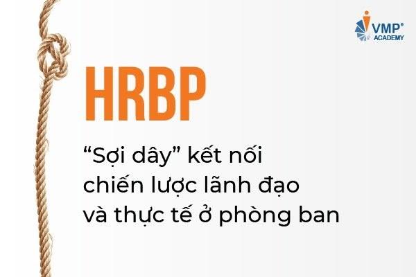 HRBP là “sợi dây” kết nối chiến lược lãnh đạo và thực tế ở phòng ban
